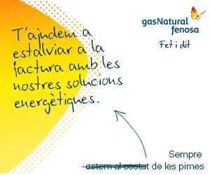 Gas Natural