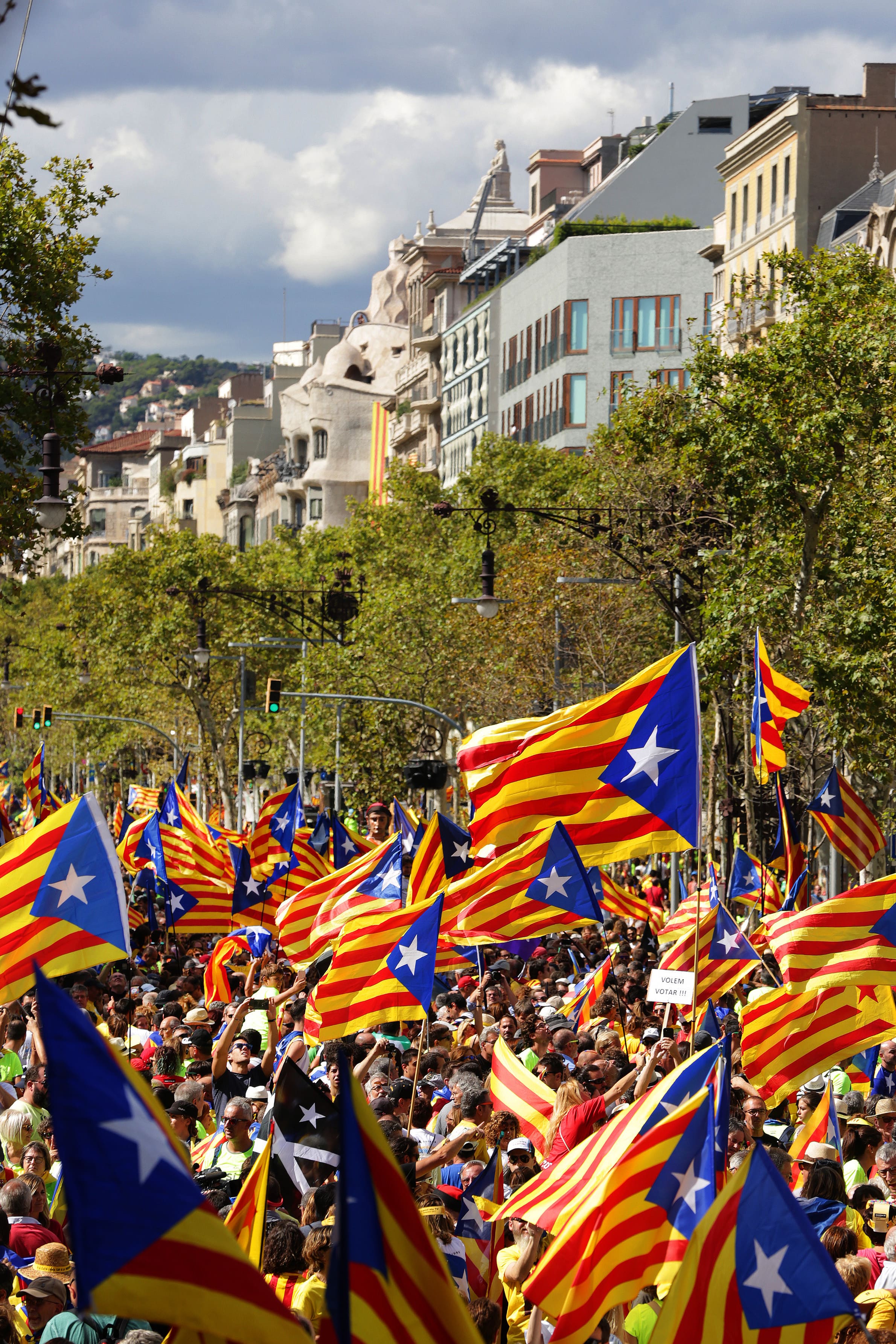 Declarar La Independ ncia De Catalunya El Temps Declarar La Independ ncia De Catalunya El Temps