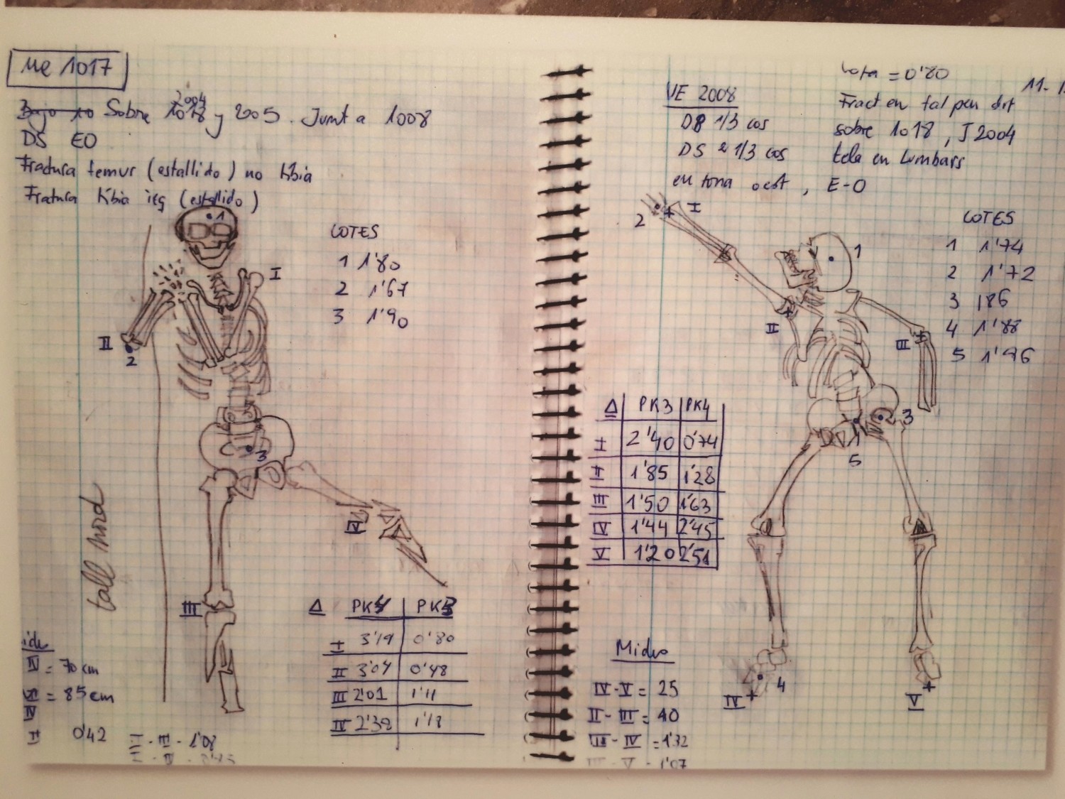 Anotacions d'una de les exhumacions realitzades per Paleolab.