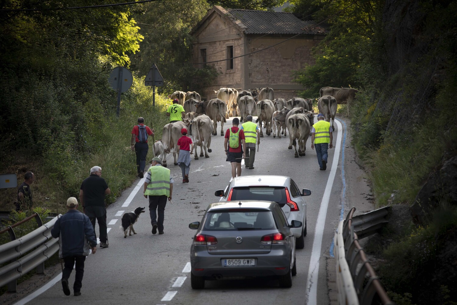 El més petit de la colla, en Pol (amb la gorra vermella), té 12 anys i el més gran, en Josep (amb la gorra crua), vuitanta.