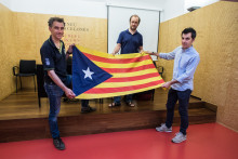 L'heràldica de l'estelada