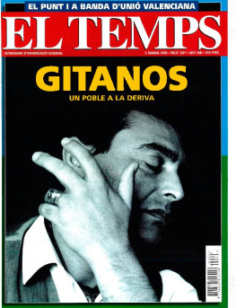 El Temps - Núm. 607