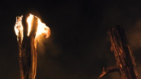Foc Ancestral