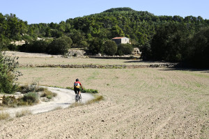 Paisatges interiors de les Garrigues