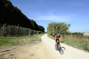 Camins del Segrià, al llarg del Canal d'Urgell