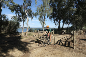 Camí de Sirga (marge dret de l'Ebre) 