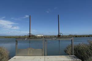 Riu Ebre