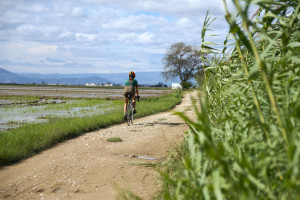 Camí de Sirga (marge dret de l'Ebre) 