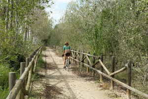 Camí de Sirga (marge dret de l'Ebre) 