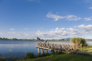 Riu Ebre