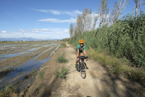 Camí de Sirga (marge dret de l'Ebre)