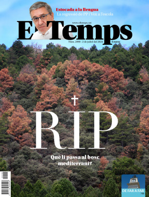 El Temps - Núm. 2090