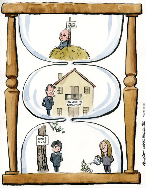 L'evolució convergent