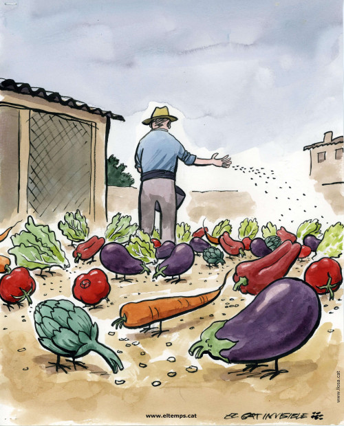 Futur vegà