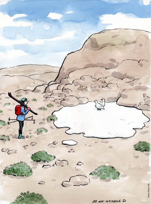 L'impacte de la desertificació