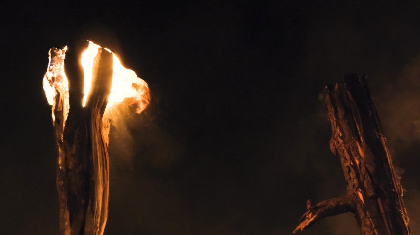 Foc Ancestral