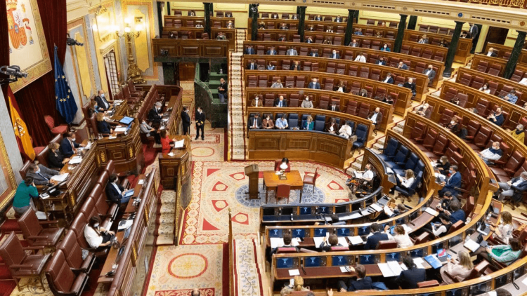 El ple del Congrés dels Diputats. Agència Catalana de Notícies