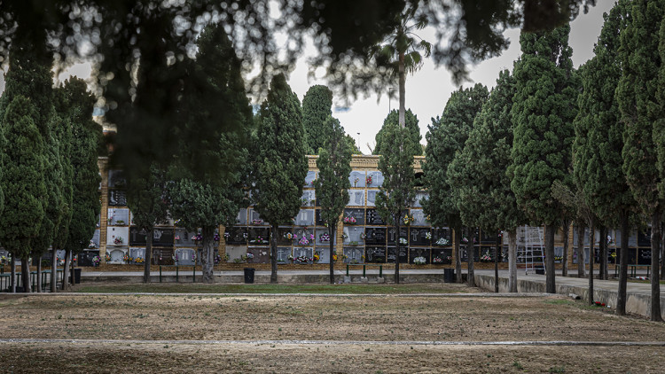 Una de les esplanades del cementeri de Paterna. / Miguel Lorenzo. Miguel Lorenzo
