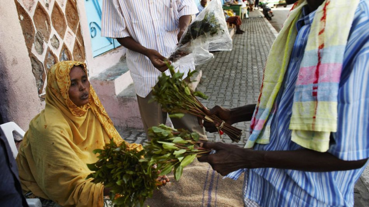 Un home compra cat als carrers de Djibouti. Der Spiegel