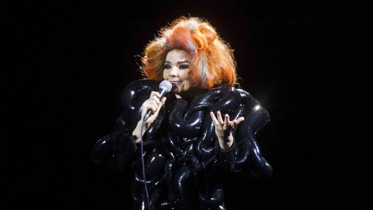 La cantant islandesa Björk 