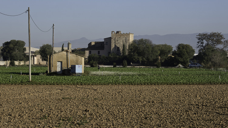 Pla de Palou (Granollers). Eliseu T. Climent