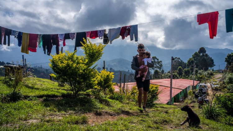 Un exmilitant de les FARC camina pels camps de cultiu. Der Spiegel