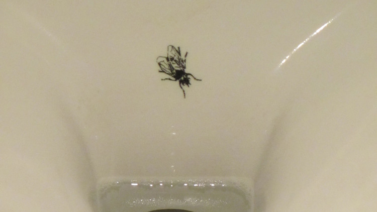 La teoria de l'empenta demostra que una imatge d'una mosca a la part inferior d'un urinari millora l'objectiu dels homes i redueix les despeses de neteja. Viquipèdia