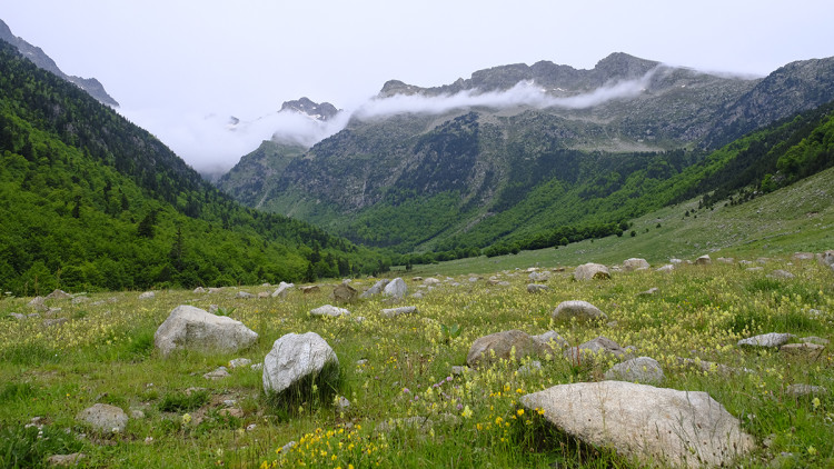 Vall de Toran. Eliseu T. Climent