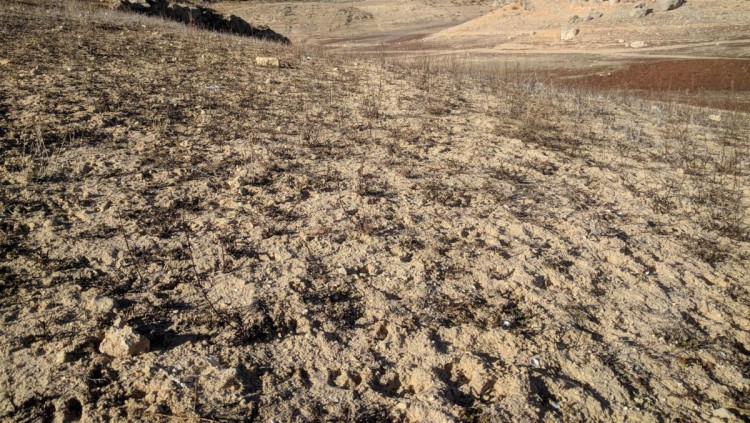 El 28% del sol del País Valencià està amenaçat per la desertificació| Europa Press