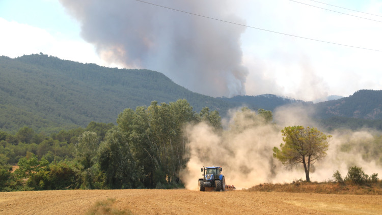 Pla general d'un tractor llaurant un camp de cereal segat a Sant Martí de Tous, davant la columna de fum del foc que encara és molt actiu al flanc esquerre del cap de l'incendi. Agència Catalana de Notícies