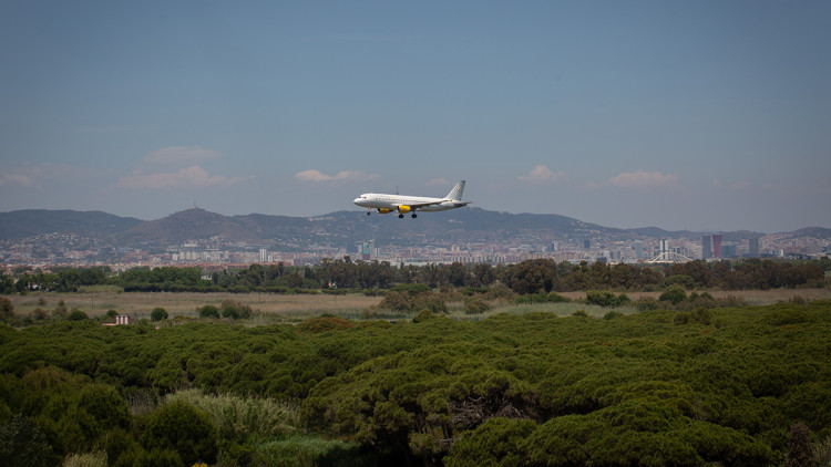 Un avió aterra a l'aeroport del Prat, a prop de l'espai natural protegit de la Ricarda. Europa Press