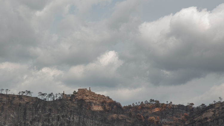 Les muntanyes que envolten el Castell de Queralt tenyides de negres després de l'incendi. SIRA ESCLASANS