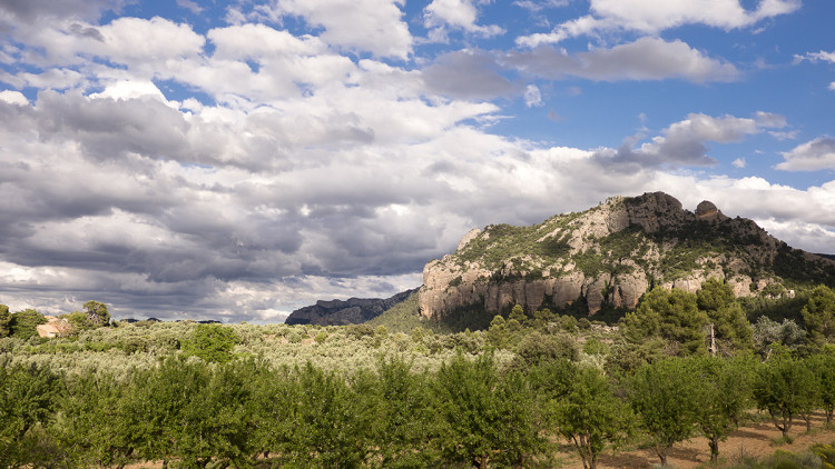 Muntanya de Santa Bàrbara (Horta de Sant Joan). Eliseu T. Climent