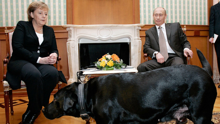 Vladímir Putin i Angela Merkel posen per a una foto abans d'una reunió