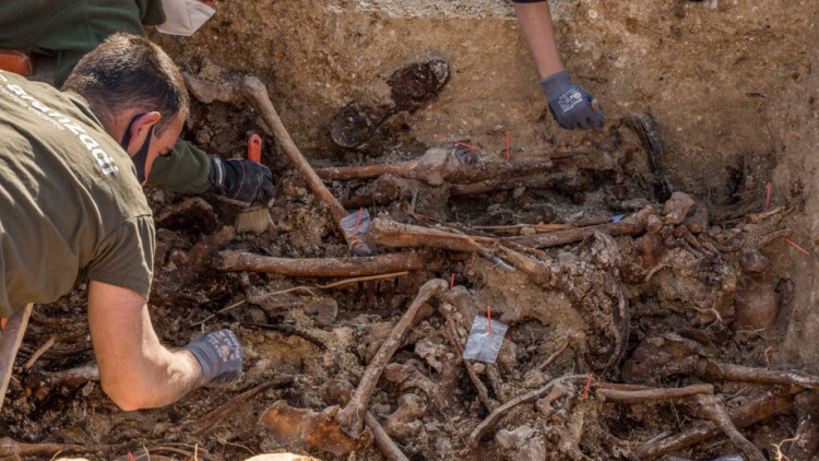 Excavació al cementiri de Porreres. Europa Press