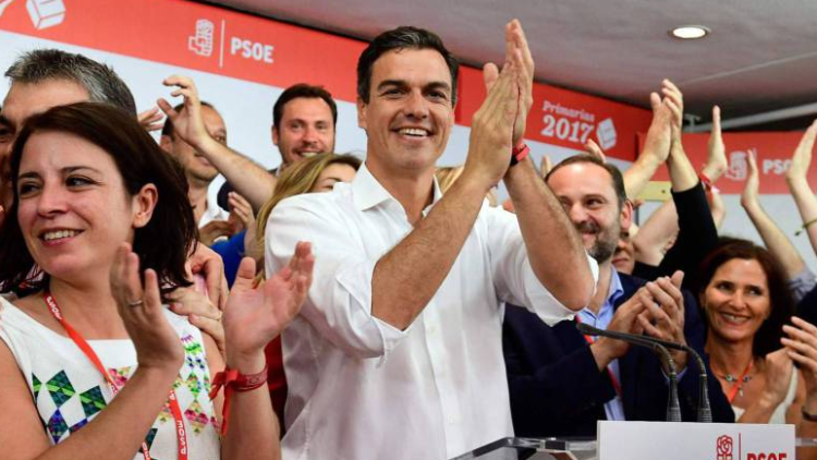 Pedro Sanchez Primàries PSOE