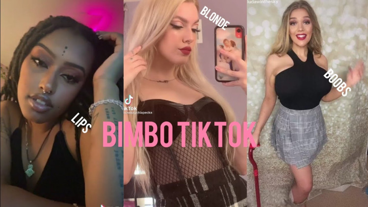 Algunes figures ubicades dins de les 'bimbo'. YouTube