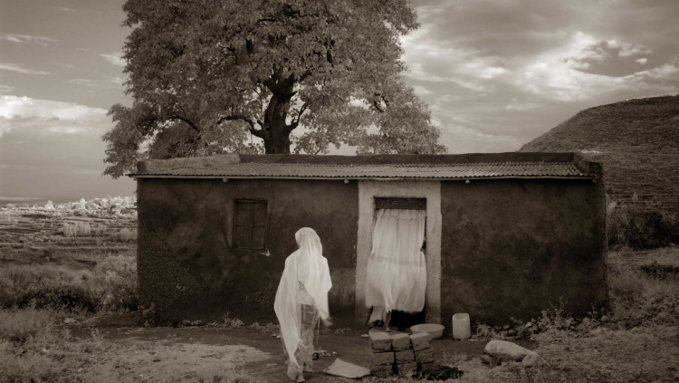 La casa de l'arbre, Harargué, 2007. Toni Catany