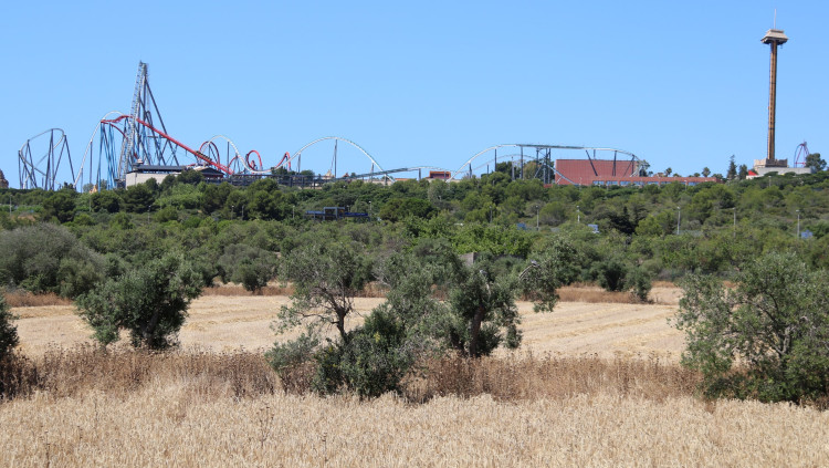 Camps agrícoles on està previst el Centre Recreatiu i Turístic (CRT) de Vila-seca i Salou i, al fons, muntanyes russes del parc d'atraccions PortAventura, en una imatge del juliol del 2017. Agència Catalana de Notícies