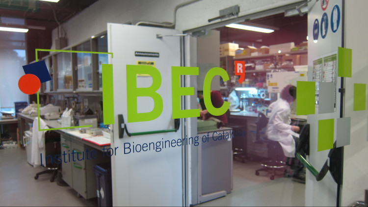 Seu de l'IBEC
