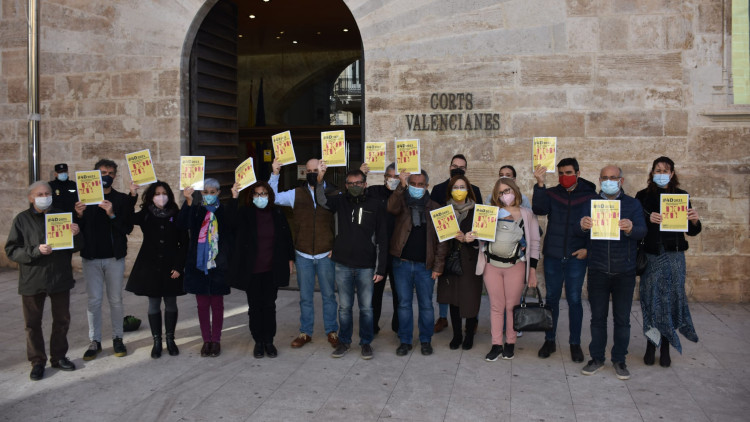 Protesta a les portes de les Corts Valencianes| Escola Valenciana 