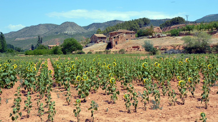 Paisatge d'Ademús. Alfredo Sánchez