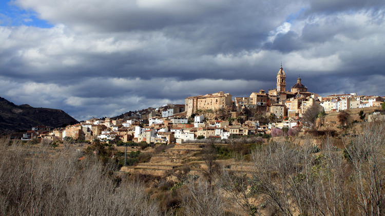 Xelva. Falconaumanni