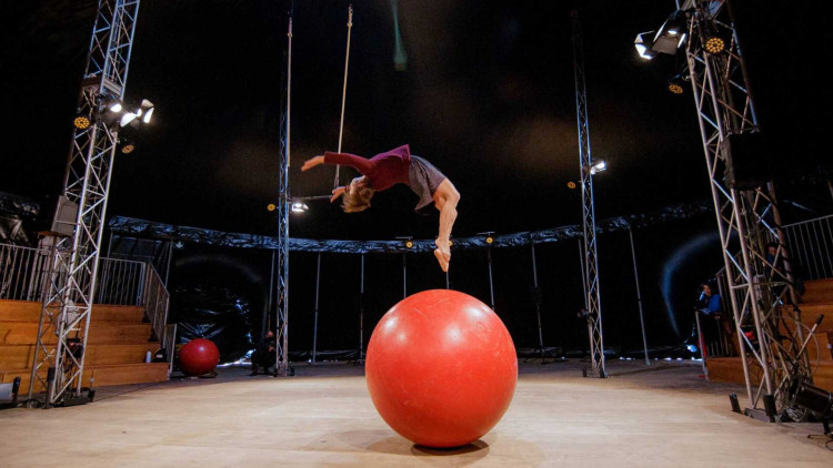 El Pla d’Impuls del Circ vol reforçar un escenari d’oportunitats per a la promoció i difusió del circ en la vida cultural, social i econòmica del país. Marta Garcia Cardellach