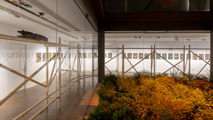 Àngels Ribé, Jardí exposició Pas mal
