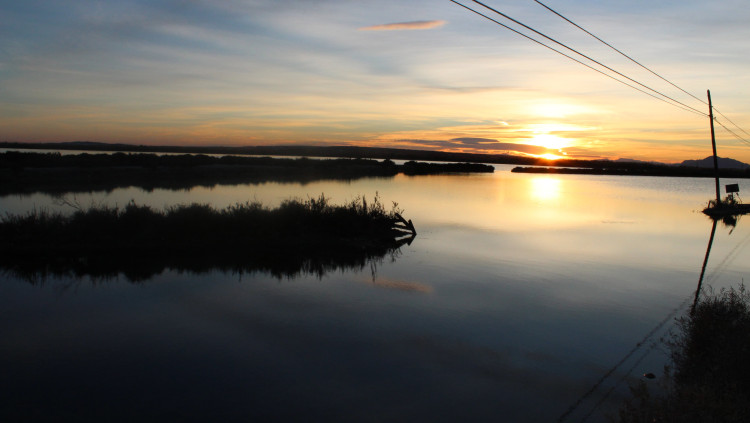 Salines de Santa Pola. Manuel Lillo