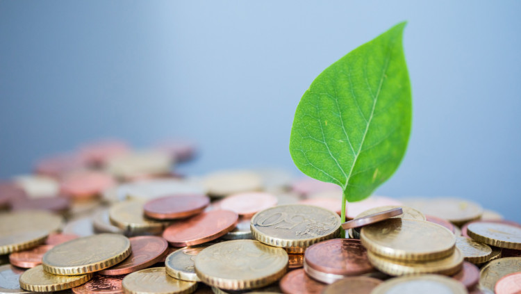 L’economia del bé comú proposa tenir en compte l’impacte social i mediambiental de les empreses