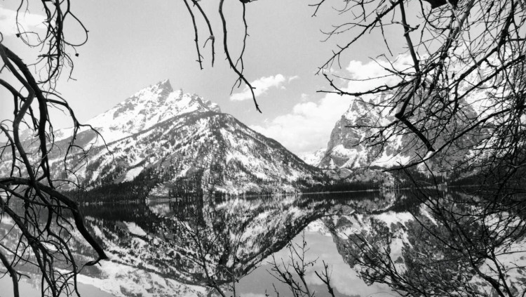 Lee Friedlander. Parc Nacional de Grand Teton. Wyoming. 1999