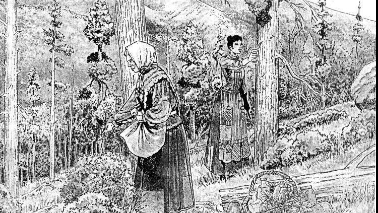 Trementinaires recollin les herbes al bosc-Dibuix d’Oriol Garcia i Quera