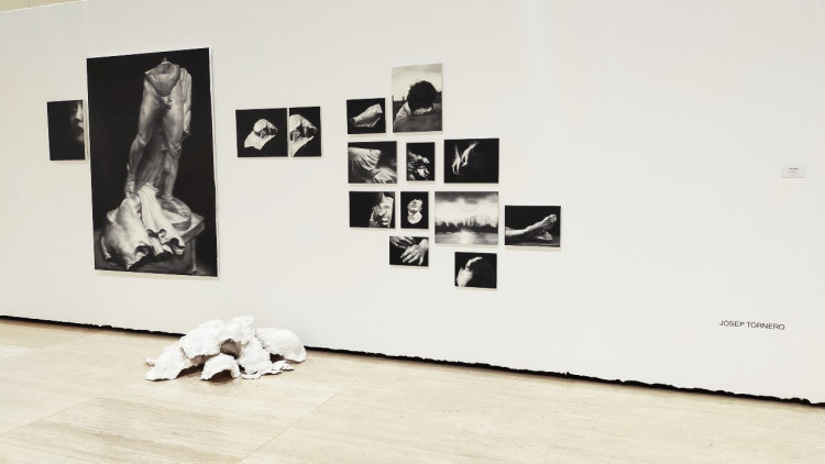 ‘El vers retrobat’ de Josep Tornero. Foto: Irene E. Santacreu